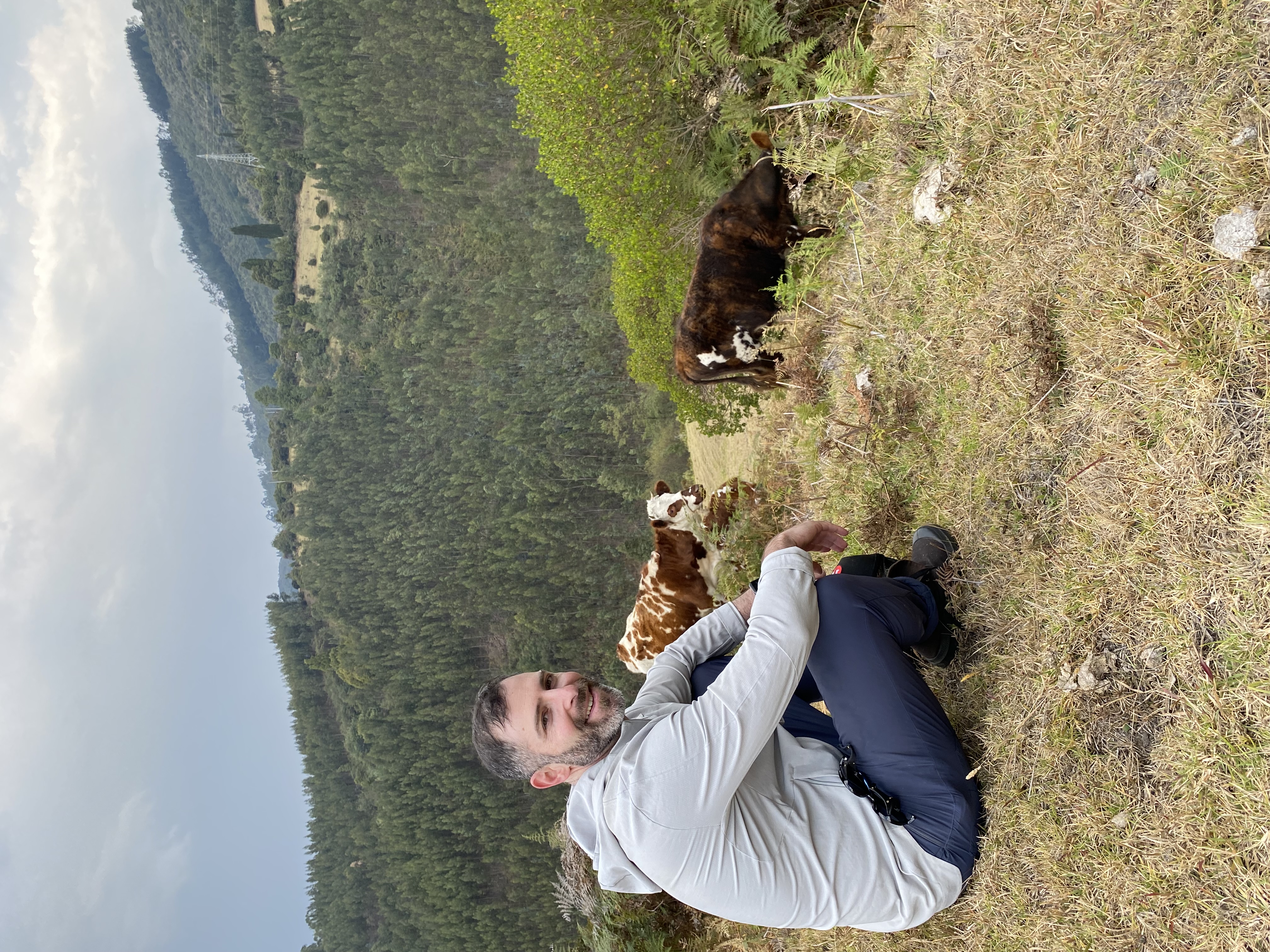 David Benson, Colombia